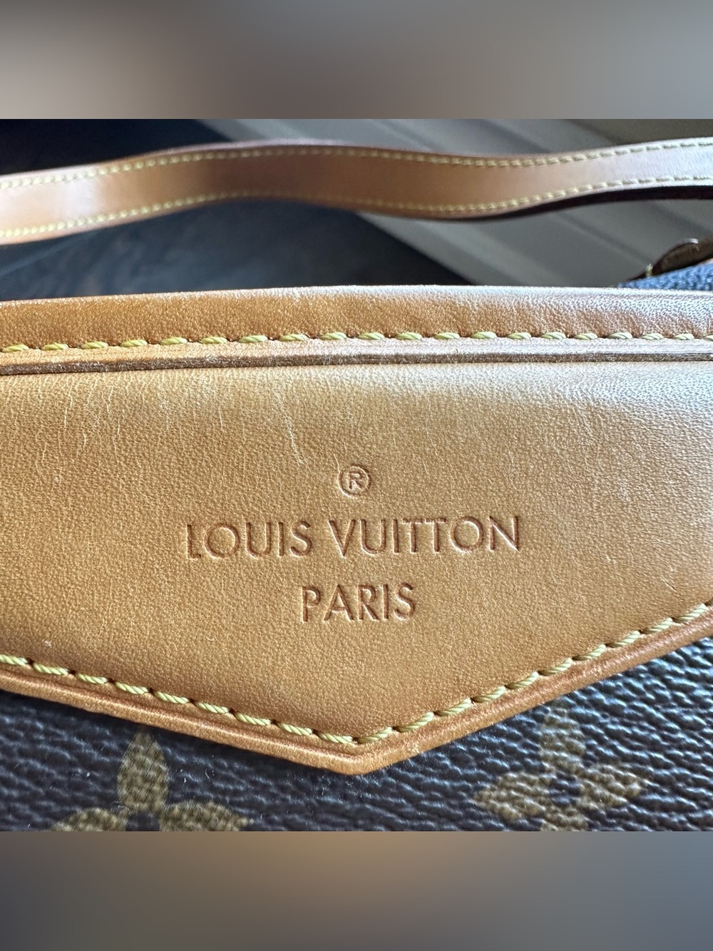 Louis Vuitton Monogram Canvas Estrela MM Bag - Picture 5 of 14